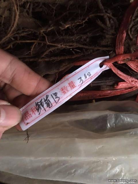 6万出售伊宁县多浪农场26亩葡萄园土地六万