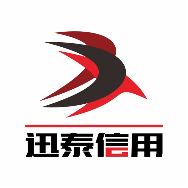 新疆迅泰信用管理有限公的图标