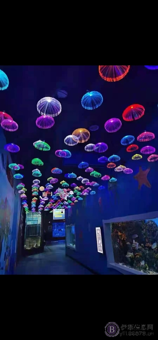 伊宁市梦幻水母馆